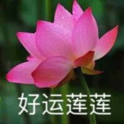 幸存者计划游戏下载